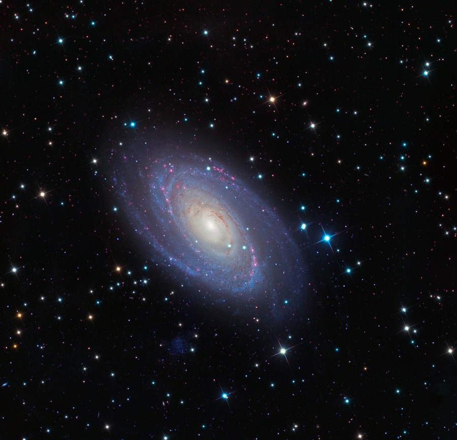 m81