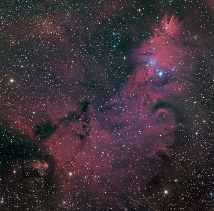 ngc2264