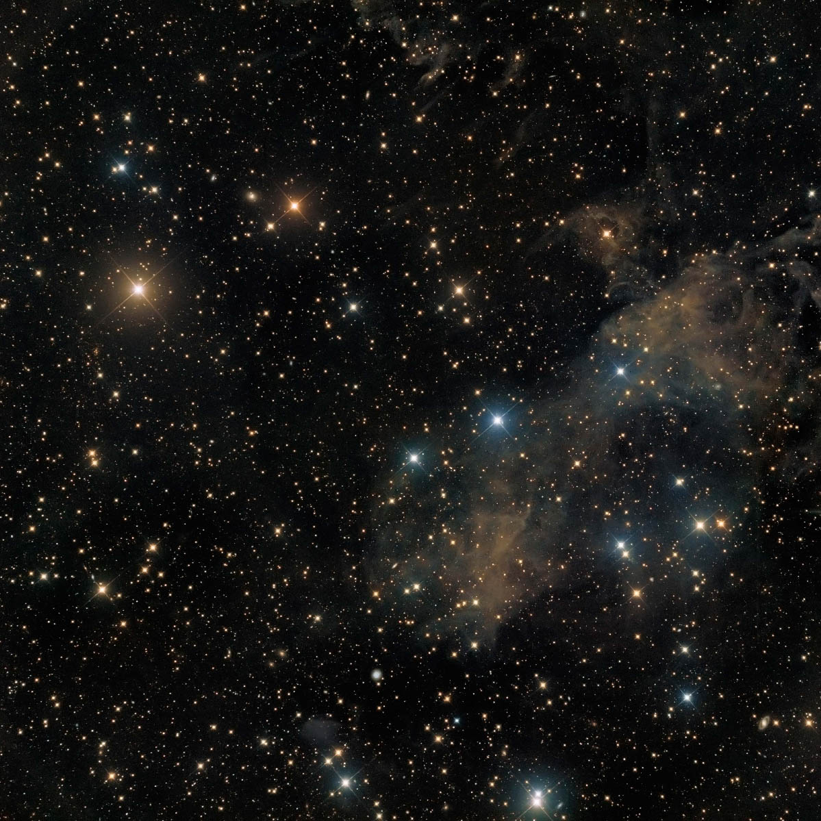 lbn406