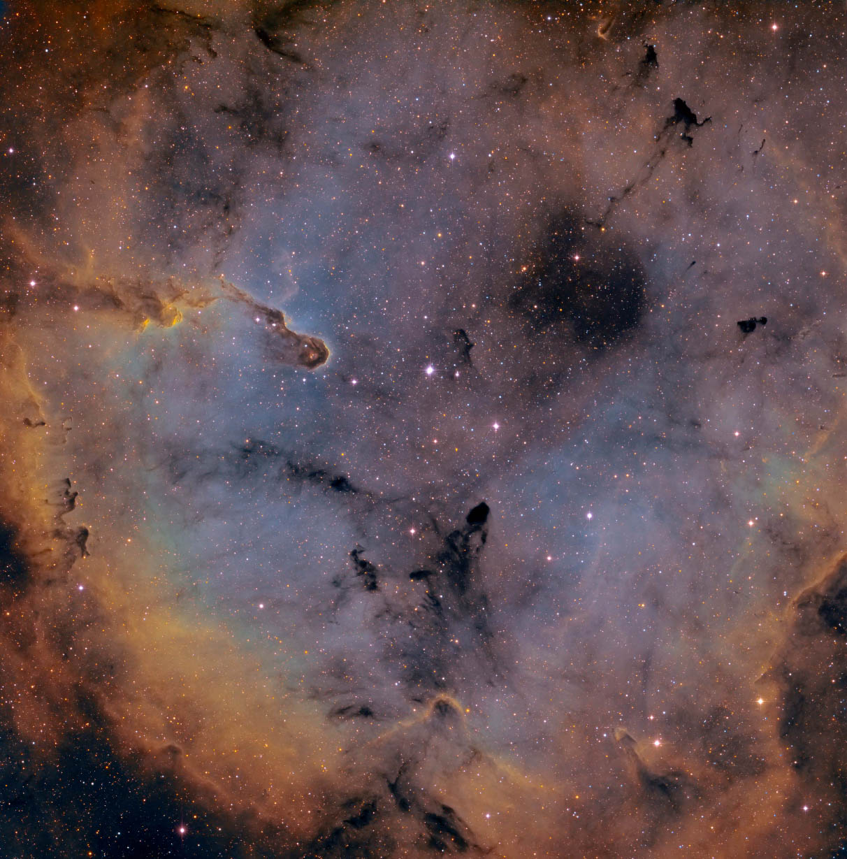 ic1396