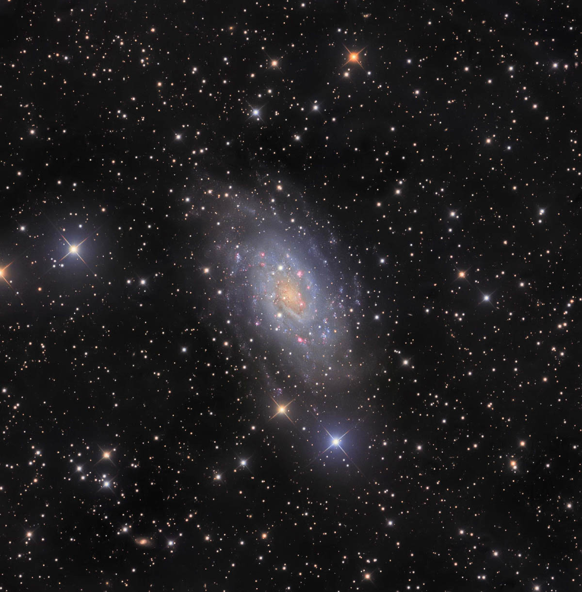 ngc2403