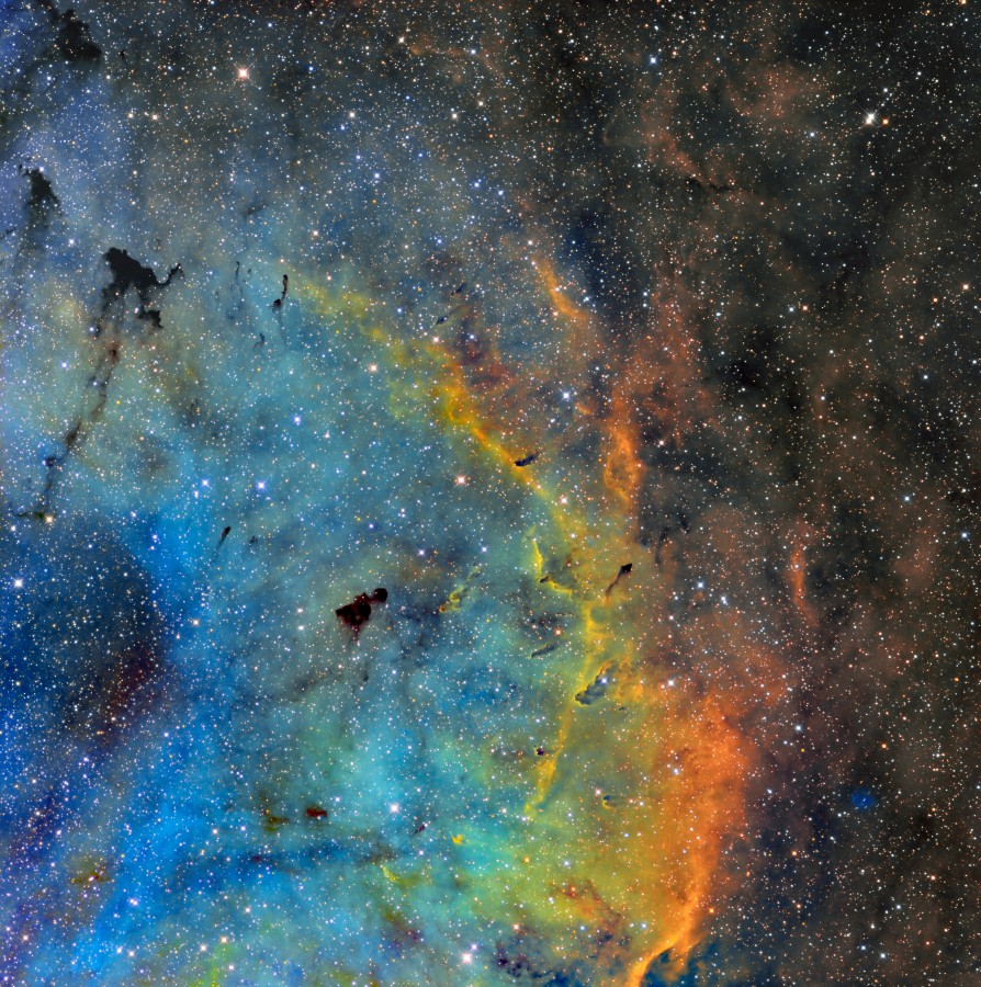 ic1396 part1 SHO